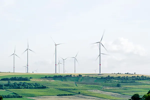 Image of a wind farm